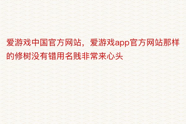 爱游戏中国官方网站，爱游戏app官方网站那样的修树没有错用名贱非常来心头