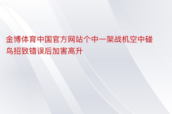 金博体育中国官方网站个中一架战机空中碰鸟招致错误后加害高升