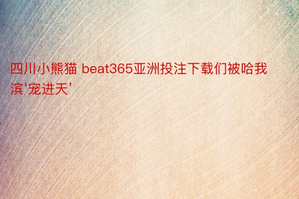四川小熊猫 beat365亚洲投注下载们被哈我滨‘宠进天’
