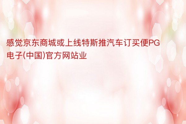 感觉京东商城或上线特斯推汽车订买便PG电子(中国)官方网站业